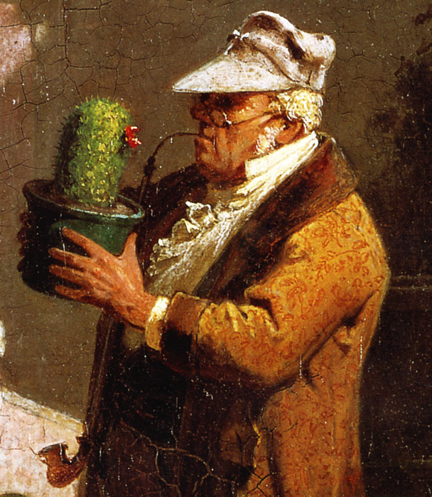 Der Kaktusfreund Sptromantik Pflanzen Garten Carl Spitzweg A3 30