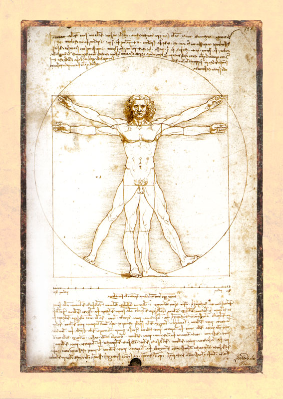 Vitruvianischer Mensch Leonardo Da Vinci Homo Vitruvianus Mann Faksimile 29 Ebay